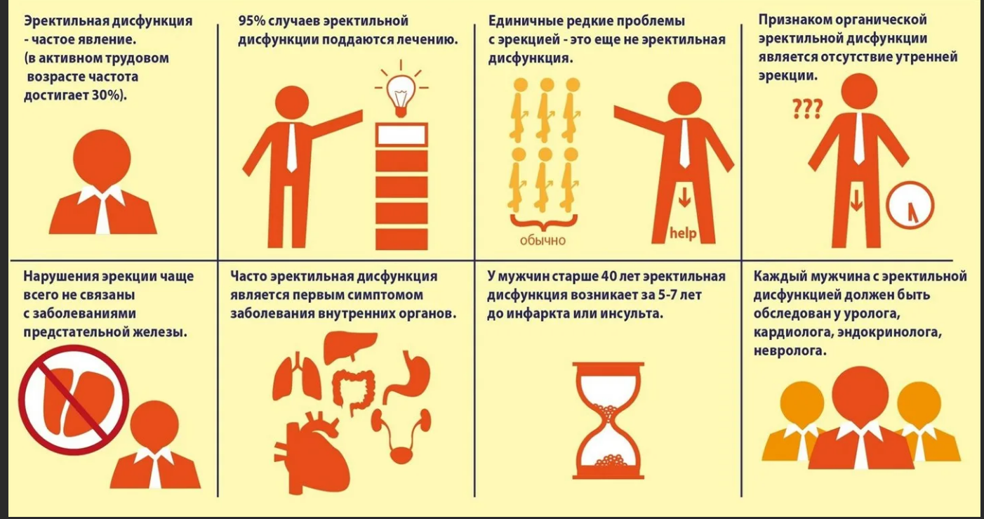 Члена терапию. Эректильная дисфункция. Отриктивная дисфункция. Эректильная дисфункиц. Тактильная дисфункция.